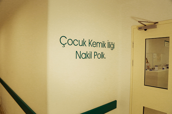 Acrylic cut-out letters, hospital name sign