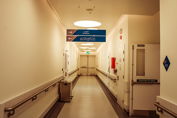 Acrylic Suspended Signage, Blade Signage, Hospital Signage	