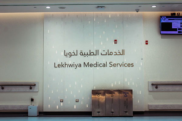 Cut-out stainless steel letters, Hospital Signage, Hospital Name Sign
