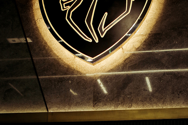 stainless steel illuminated brand logo signage	