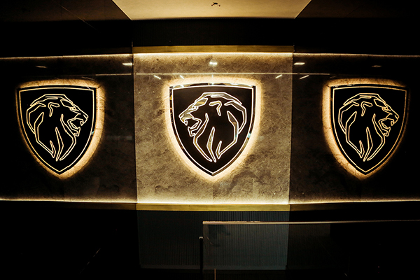 stainless steel illuminated brand logo signage